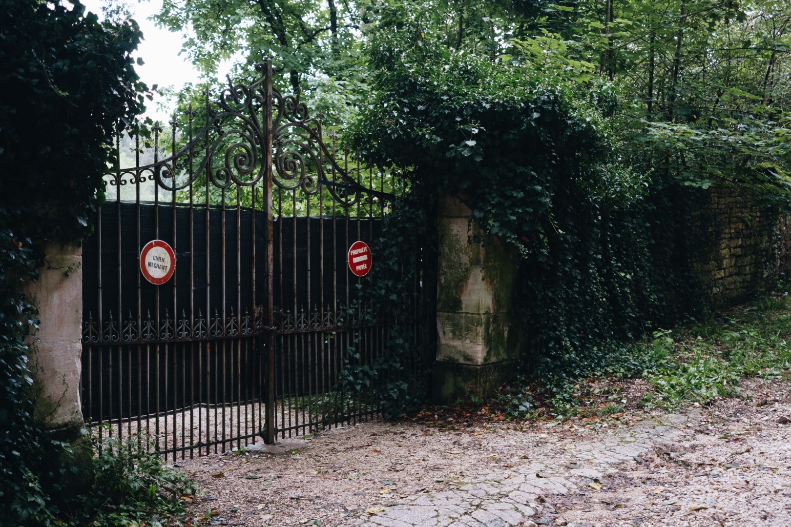 Image de la colonne de droite (moitié de la largeur)