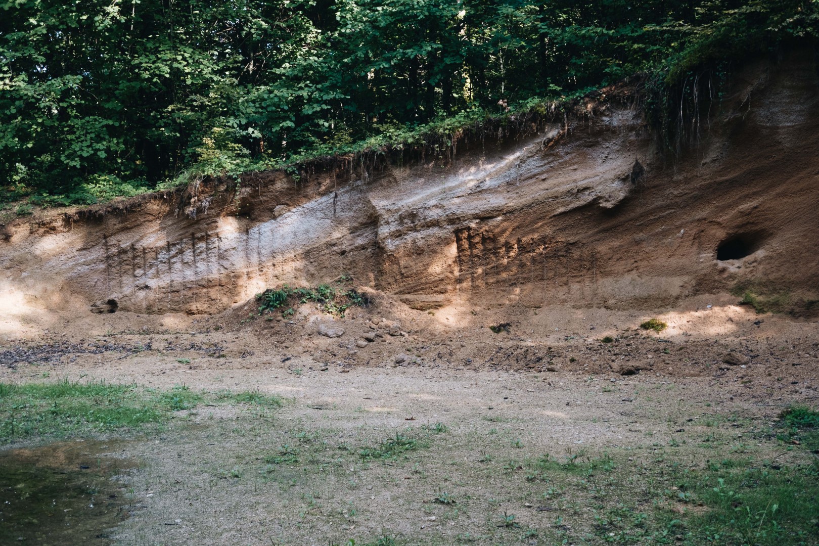 Image de la colonne de droite (moitié de la largeur)